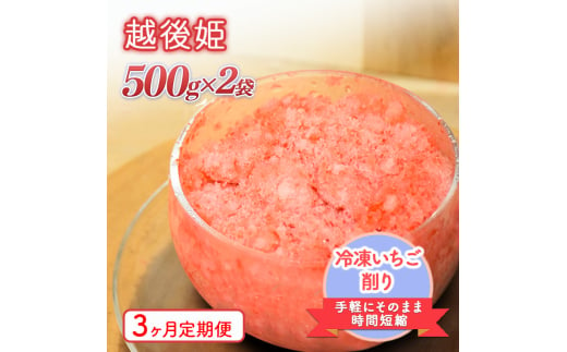 削りいちこ゛越後姫500g×2袋　3ヶ月定期便 冷凍 イチゴ 苺 果物 フルーツ 新潟 1987814 - 新潟県上越市