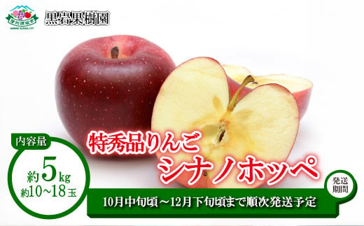 [No.5657-4223]シナノホッペ 特秀品 約5kg (約10～18玉) 《黒岩果樹園》■2025年発送■※10月中旬頃～12月下旬頃まで順次発送予定 1990891 - 長野県須坂市