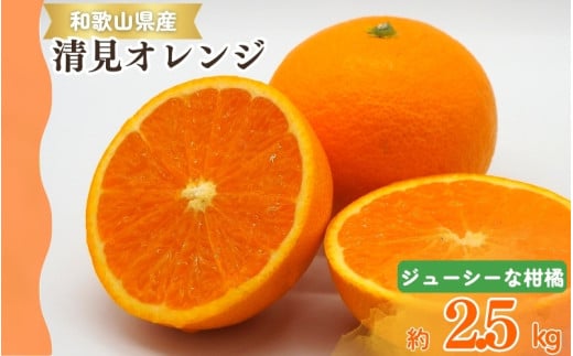 【予約】【ジューシー】清見オレンジ 2.5kg　※2026年3月下旬頃〜2026年4月中旬頃に順次発送予定（お届け日指定不可）【uot832】 1549638 - 和歌山県太地町