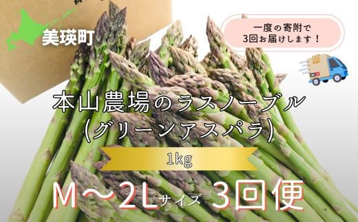 【2025年産！】北海道 美瑛町幻のアスパラ 本山農場のラスノーブル（グリーンアスパラ）M～2Lサイズ 1kg ≪3回便≫ | グリーン アスパラガス アスパラ あすぱら あすぱらがす 採れたて 新鮮 旬 産地直送 野菜[036-39] 1987765 - 北海道美瑛町