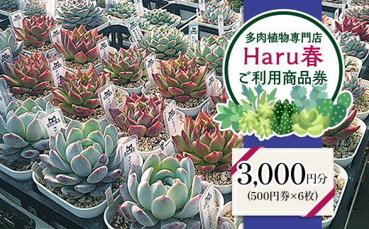 592 Haru春で使える3,000円分チケット（500円×6）