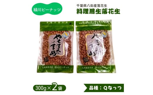 生落花生（ Qなっつ ） 料理用 300g × 2袋 合計600g 八街産落花生 調理用落花生 千葉県産 八街市産  緑川商店