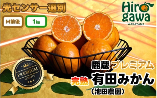 鹿蔵 プレミアム 有田みかん ( 完熟 ) 1kg+250g（傷み補償分） 光センサー 選果　※北海道・沖縄・離島への配送不可 / 温州 みかん 厳選 柑橘 果物 フルーツ 和歌山 【ikd004-prem-1】 1991415 - 和歌山県広川町