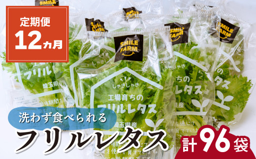 【定期便12ヵ月】 ＜洗わず食べられる・室内水耕栽培＞ フリルレタス 8袋(80～110g/袋)×12ヵ月 計96袋 | レタス 野菜 大容量 新鮮レタス オーガニック野菜 無農薬 野菜直送 フレッシュ サラダ用野菜 健康志向 こだわり フレッシュ 産地直送 食品ギフト セット 緑黄色野菜 新鮮 安心野菜 旬 低カロリー レタスボウル カロテン 定期便 スマイル農場 埼玉県 東松山市  1397618 - 埼玉県東松山市