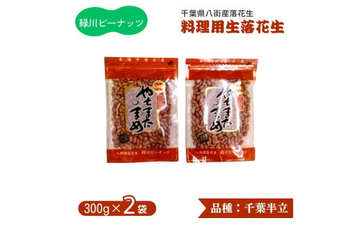 生落花生（ 千葉半立 ） 料理用 300g × 2袋 合計600g  八街産落花生 八街市優良特産落花生推奨品 調理用落花生 千葉県産  緑川商店