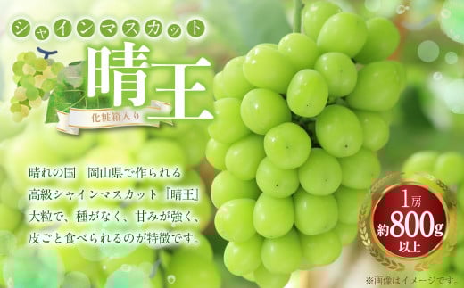 シャインマスカット 晴王 1房（800g以上） 化粧箱入り 【2025年8月下旬～11月上旬迄発送予定】 ぶどう ブドウ 葡萄 マスカット 種なし 果物 くだもの フルーツ 冷蔵 国産 1927844 - 岡山県奈義町