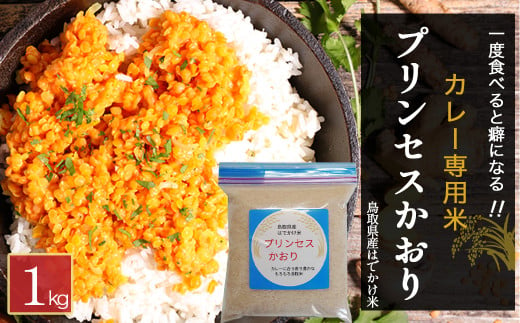 【カレー専用米】数量限定 プリンセスかおり米 （1kg） 鳥取県産 はでかけ米 はぜかけ米 お米 米 こめ コメ ブランド米 米1キロ こしひかり コシヒカリ バスマティ プリンセスかおり カレー米 エスニック米 香り米 数量限定