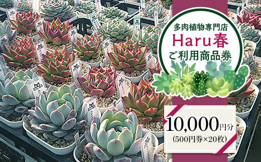 594 Haru春で使える10,000円分チケット（500円×20）