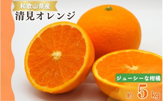 【予約】【ジューシー】清見オレンジ 5kg　※2026年3月下旬頃〜2026年4月中旬頃に順次発送予定（お届け日指定不可）【uot710-2】 858349 - 和歌山県太地町