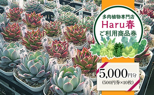 593 Haru春で使える5,000円分チケット（500円×10）