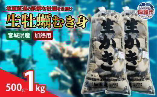 【浦戸 寒風沢島】生牡蠣500g~1kg(加熱用)