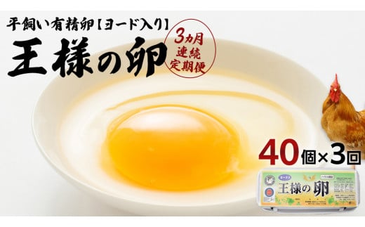 【3ヵ月 連続 定期便】王様の卵 ヨード入 40個 計120個 平飼い 地鶏 有精卵 濃厚 卵 こだわり卵 たまご  頒布会 定期