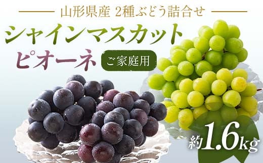 FYN6-060 《2025年先行予約》 ご家庭用 山形県産 シャインマスカット ピオーネ 詰合せ 約1.6kg(2～4房) 2025年8月下旬から順次発送 葡萄 ブドウ 種無し 夏果実 秋果実 果物 くだもの フルーツ 訳あり 家庭用 自宅用 産地直送 山形県 西川町 月山 2011889 - 山形県西川町