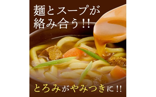 讃岐カレーうどんセット(24人前)