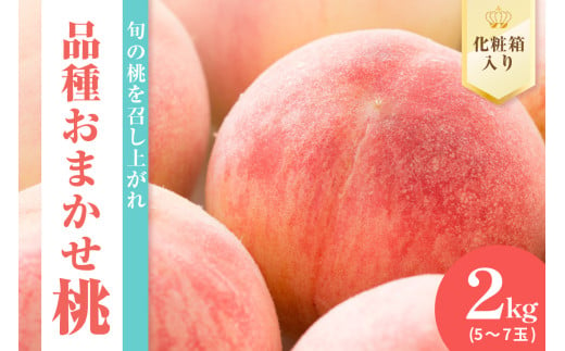 《 先行予約 数量限定 》 令和7年産 もも 2kg  品種おまかせ 5～7玉 〔 2025年8月中下旬～9月上旬頃お届け 〕 2025年産 1998769 - 山形県米沢市