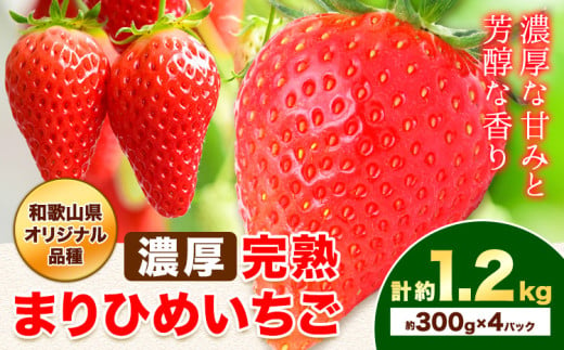 いちご イチゴ 苺 濃厚 完熟 まりひめ いちご 約 1.2kg 有田マルシェ[2月中旬-4月中旬頃出荷] 和歌山県 日高町 まりひめ いちご ストロベリー 和歌山県オリジナル品種 送料無料