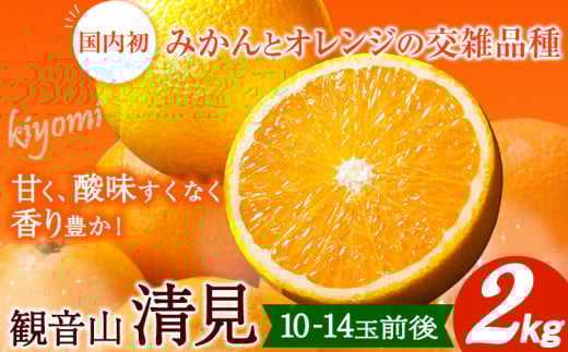 観音山清見 2kg (約10玉-14玉前後) 有限会社柑香園《2026年2月中旬-3月上旬頃出荷》和歌山県 紀の川市 フルーツ 果物 柑橘 みかん オレンジ 清見