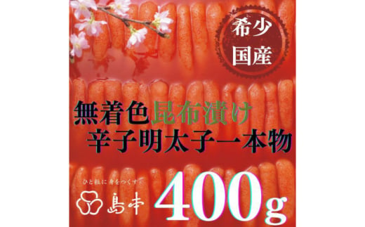 [博多辛子明太子の島本]希少国産卵・昆布漬け辛子明太子一本物400g ≪築上町≫[株式会社島本食品]めんたいこ たらこ 明太子 国内産 無着色 1本物 [ABCR012] 19000円