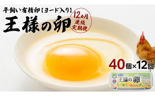 【12ヵ月 連続 定期便】王様の卵 ヨード入 40個 計480個 平飼い 地鶏 有精卵 濃厚 卵 こだわり卵 たまご  頒布会 定期