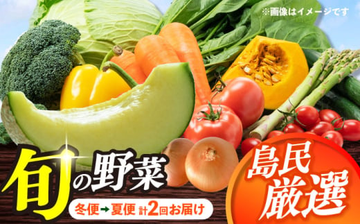 [8月〜10月先行受付][冬季初回発送]小値賀島で育った新鮮野菜おまかせセット 冬季1回・夏季1回お届け 