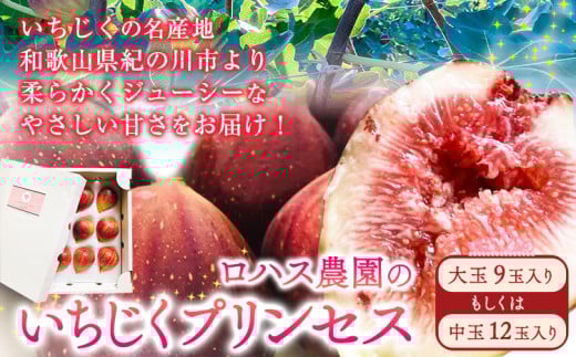 いちじくプリンセス ロハス農園[8月中旬-11月末頃出荷]和歌山県 紀の川市 無花果 イチジク[配送不可地域あり]