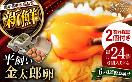 【6回定期便】【TVで紹介！】【鮮度ＡＡ級の世界最高ランク！】金太郎卵 平飼い たまご 24個（6個×4パック）＜有限会社フジノ香花園＞那珂川市 [GAM034] 1987876 - 福岡県那珂川市