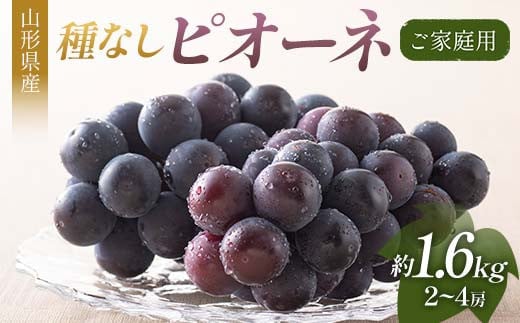 FYN6-058 《2025年先行予約》ご家庭用 山形県産 ぶどう ピオーネ 約1.6kg(2～4房) 2025年8月下旬から順次発送 葡萄 ブドウ 種無し 夏果実 秋果実 果物 くだもの フルーツ 訳あり 家庭用 自宅用 産地直送 山形県 西川町 月山 2011887 - 山形県西川町