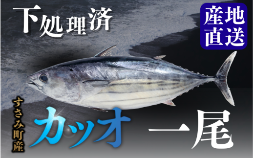 カツオ 1尾 下処理済み 和歌山県すさみ町産 / 大容量 カツオ かつお 鰹 丸ごと 魚 捌く 海鮮丼 寿司 手巻き寿司 漬け丼 鰹のたたき 海鮮 海の幸 魚介 新鮮 刺身 和歌山 すさみ町 大容量 【scp124】