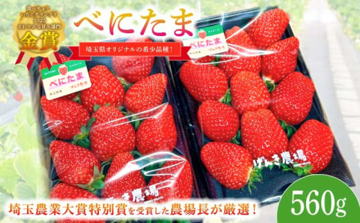 いちご べにたま 560g (280g×2P) 苺 イチゴ ストロベリー 産地直送 ご当地 果物 くだもの フルーツ デザート 食品 冷蔵 げんき農場 埼玉県 羽生市