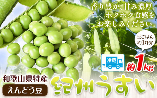 和歌山県特産 紀州うすい えんどう豆 約1kg(豆ご飯 約1升分) まる中農園《2026年5月下旬-6月下旬頃出荷》 和歌山県 紀の川市 えんどう豆 野菜 紀州うすい うすいえんどう まめ 豆 豆ごはん 送料無料