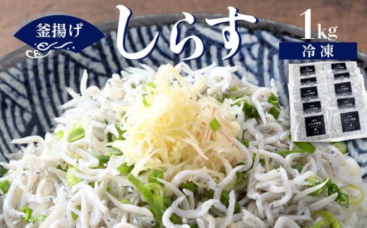 冷凍釜揚げしらす1kg 484406 - 和歌山県九度山町