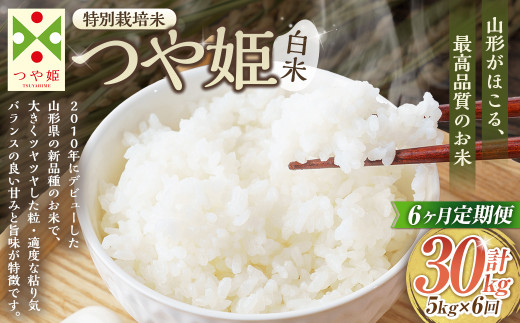 【6ヶ月定期便】【令和7年産新米】〈白米〉 つや姫 5kg×6回（特別栽培米） 山形県産 しらたかのお米 【2025年11月上旬発送開始予定】 1158614 - 山形県白鷹町