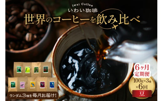 【定期便】世界のコーヒーを飲み比べ 定期便 全6ヶ月　店主厳選 珈琲 3種セット 毎月 100g × 3袋 6回 合計 1.8kg　いわい珈琲　シングルオリジン300g（豆） 1994598 - 北海道札幌市