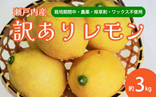 【栽培期間中農薬除草剤無し】わけあり瀬戸内レモン3kg サイズミックス お試し 家庭用 加工用 訳あり 117020