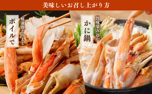 特大 ボイル ズワイ蟹 姿 2尾 計1.5kg ｜ 海鮮 カニ かに 蟹 ズワイガニ かにみそ カニみそ ボイル 瞬間冷凍 冷凍