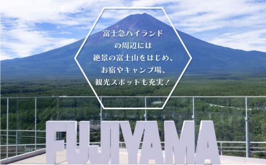 山梨県都留市のふるさと納税 富士急ハイランド フリーパスペアご招待券 富士急 チケット ペア 利用券 フリーパス 2名1組 招待券 優待券 トーマスランド 遊園地 絶叫 リサとガスパールタウン リサガス