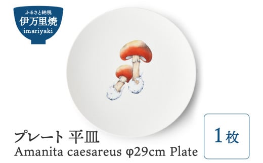 【伊万里焼】プレート 平皿 Amanita caesareus φ29cm Plate H835 296768 - 佐賀県伊万里市