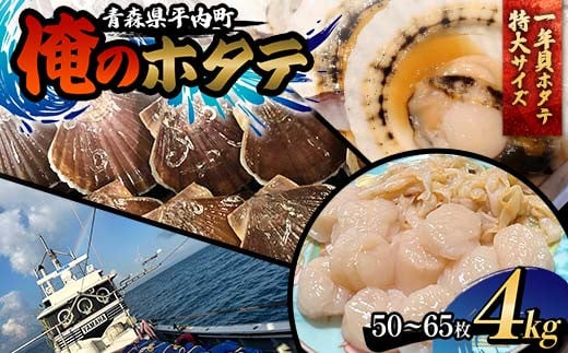 「俺のホタテ」 1年貝ホタテ特大サイズ 4kg ホタテ ほたて 帆立 活ホタテ 貝柱 殻付き 魚介 魚貝 魚貝類 青森 青森県 東北 平内 むつ湾 F21J-245 1996855 - 青森県平内町