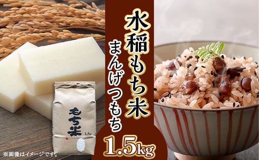 605 水稲もち 1升 1.5kg