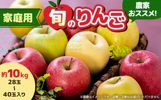 家庭用＜8月中旬～随時発送＞農家おススメ!旬のりんご約10kg(28玉～40玉入り)【1222631】 404090 - 青森県青森市