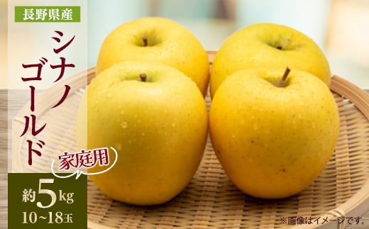 ＜家庭用＞＜2025年発送＞　長野県産 りんご　シナノゴールド　約5kg(10～18玉程度)_ りんご シナノゴールド 林檎 リンゴ 長野県 しなのゴールド シナノ 果物 くだもの フルーツ デザート 不揃い 傷 家庭用 自宅用 産地直送 送料無料 【1574749】
