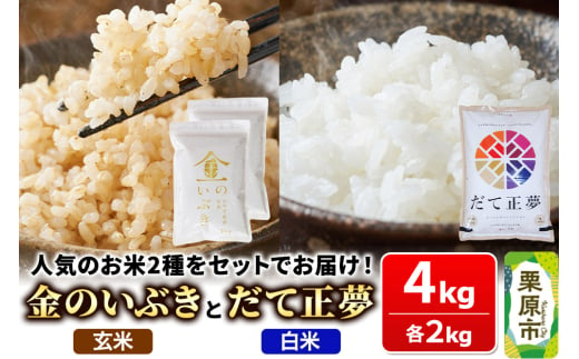 米【玄米】金のいぶき 1kg×2袋【白米】だて正夢 2kg×1袋（合計4kg）2品目 箱入り オリジナルセット 1990812 - 宮城県栗原市