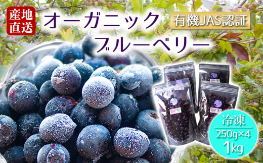 有機JAS認証【冷凍】オーガニックブルーベリー 1kg（250g×4P） オーガニック JAS認証 甘味 酸味 人気 美味しい セット 冷たい 調理 デザート 簡単 お手軽 熊本県 阿蘇市