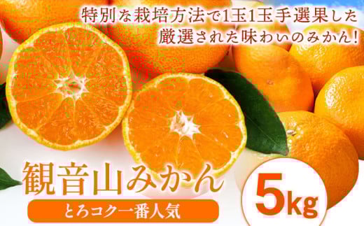 みかん 先行予約 観音山みかん(とろコク一番人気) 5kg 有限会社柑香園《2025年11月中旬-1月下旬頃出荷》和歌山県 紀の川市 フルーツ 果物 柑橘 みかん