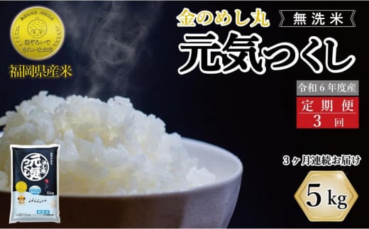 ＼2月16日で一時受付終了／＜全3回定期便＞【無洗米】金のめし丸元気つくし 5kg