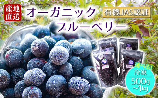 有機JAS認証[冷凍]オーガニックブルーベリー 容量が選べる! 1kg(250gx4P) 500g(250g×2P) オーガニック JAS認証 甘味 酸味 人気 美味しい セット 冷たい 調理 デザート 簡単 お手軽 熊本県 阿蘇市