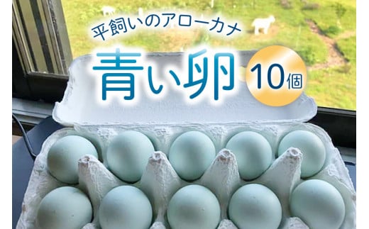 平飼いのアローカナ卵 10個 [ら ぷち ふぁみ～ゆ 北海道 剣淵町 14656182]  375947 - 北海道剣淵町