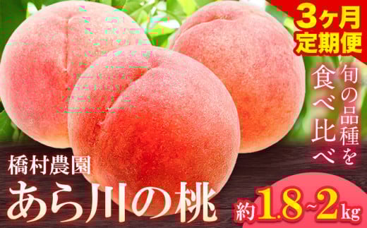 【 3回 定期便 】あら川の桃 約1.8kg~約2kg　旬の品種3回お届け 3回お届け 橋村農園 《2025年6月下旬-8月中旬頃出荷》 和歌山県 紀の川市
