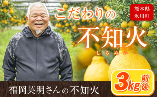 福岡農園 不知火 3kg 《1-5日以内に出荷予定(土日祝除く)》熊本県 氷川町 柑橘 果物 フルーツ