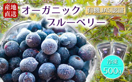 有機JAS認証【冷凍】オーガニックブルーベリー 500g（250g×2P） オーガニック JAS認証 甘味 酸味 人気 美味しい セット 冷たい 調理 デザート 簡単 お手軽 熊本県 阿蘇市